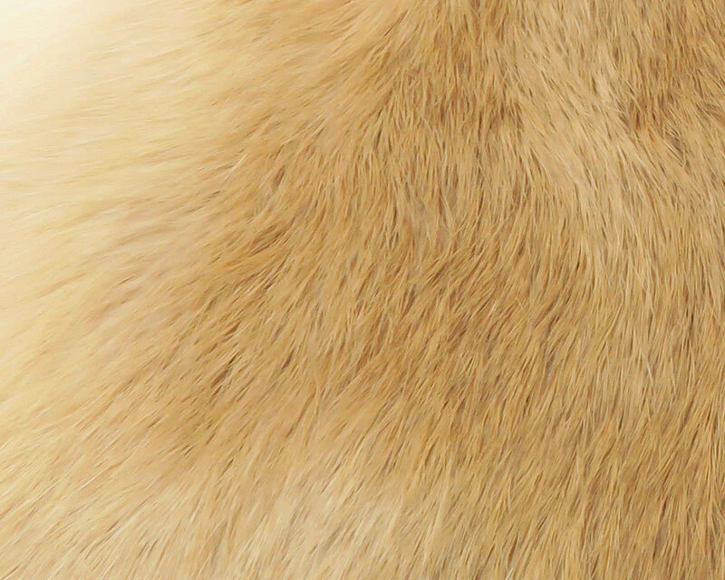 Thumbnail 16