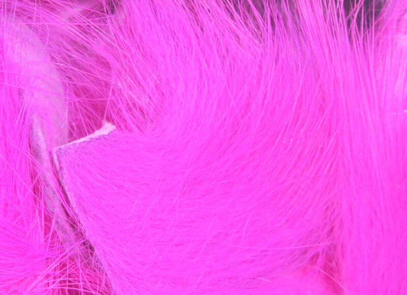 Thumbnail 15
